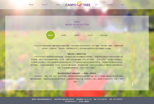 卡波树童装外贸销售信息化案例 硅峰网络助力企业高效成长